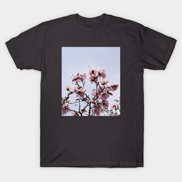 Large Pink Flowers, Spring Time Blossoms T-Shirt by Tenpmcreations